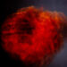 flower Heart on fire