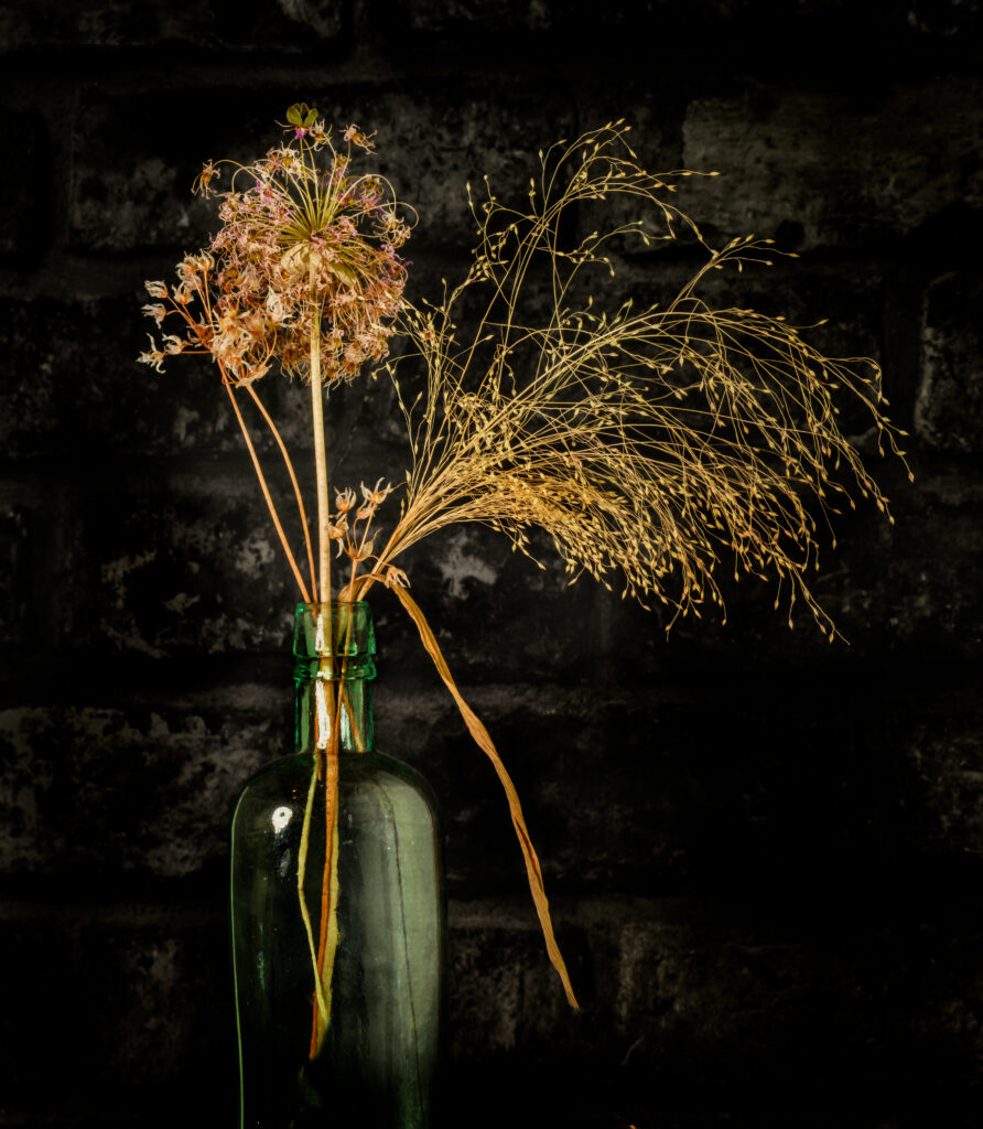 Dried Flower Still Life